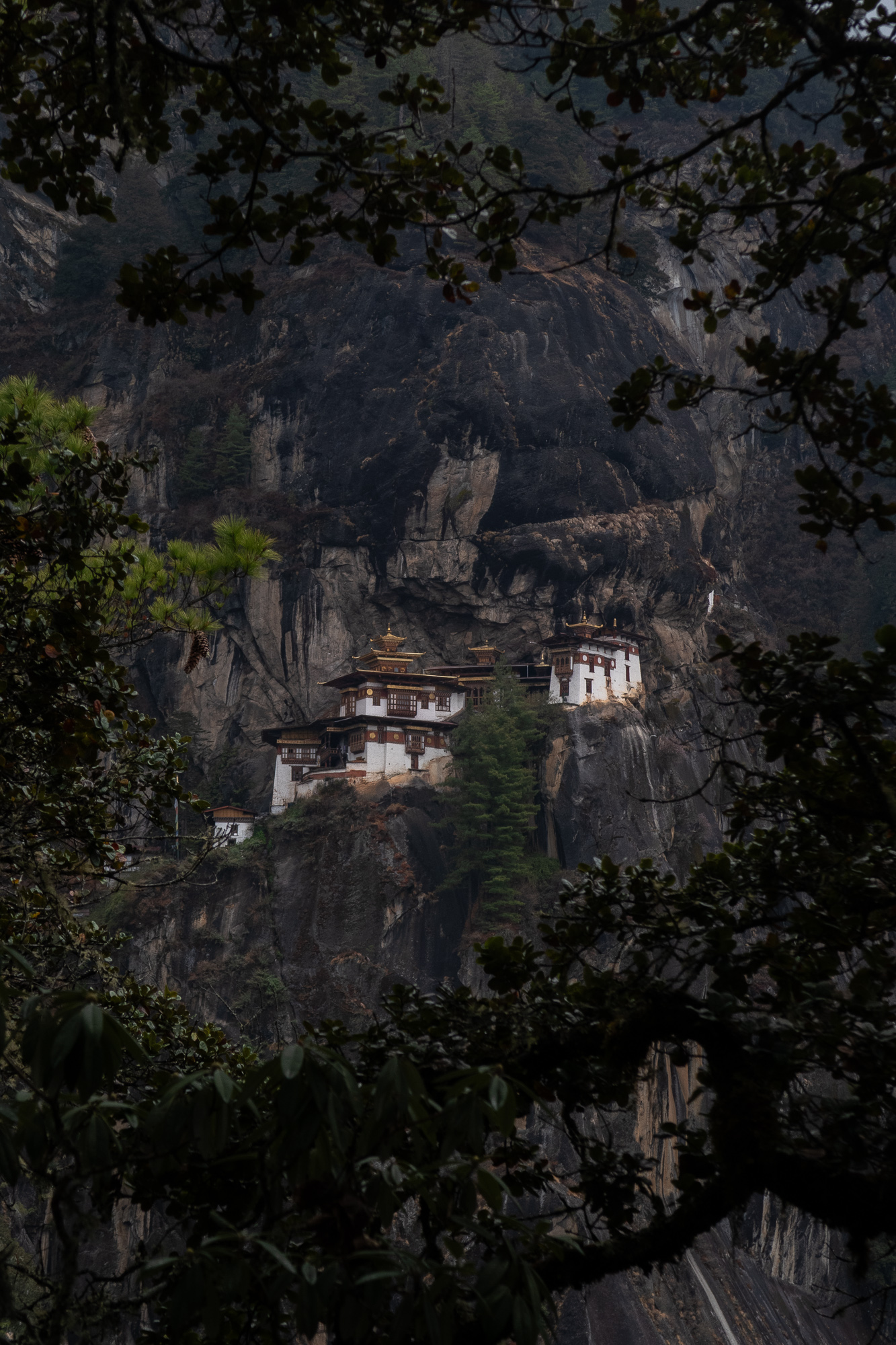How to Visit Tiger’s Nest in Bhutan
